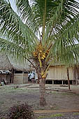 Boca Manu village in the Manu reserve